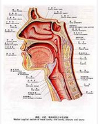 QQ圖片20150721132931.png QQ圖片20150721132931.png