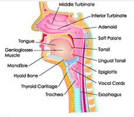 QQ圖片20150721132956.png QQ圖片20150721132956.png
