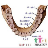 QQ圖片20150721133142.png QQ圖片20150721133142.png