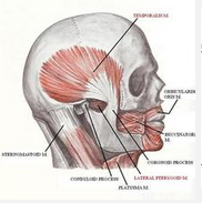 QQ圖片20150721133957.png QQ圖片20150721133957.png