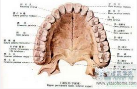 QQ圖片20150721134215.png QQ圖片20150721134215.png