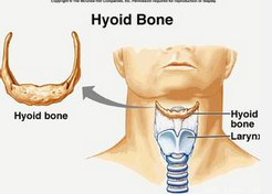 QQ圖片20150721134717.png QQ圖片20150721134717.png