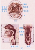 QQ圖片20150721135345.png QQ圖片20150721135345.png