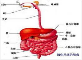 QQ圖片20150721135404.png QQ圖片20150721135404.png