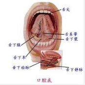 QQ圖片20150721140330.png QQ圖片20150721140330.png
