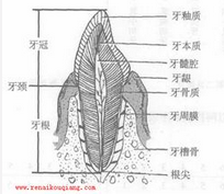 QQ圖片20150721140506.png QQ圖片20150721140506.png