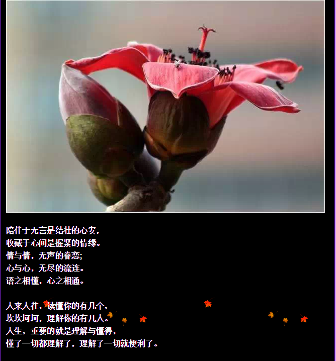 QQ圖片20150730092638.png QQ圖片20150730092638.png