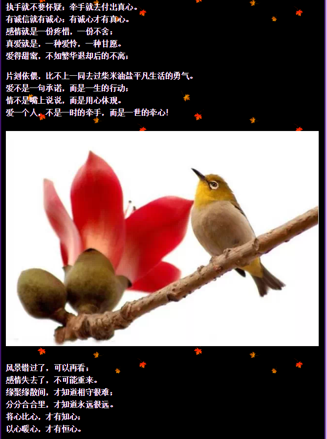 QQ圖片20150730092748.png QQ圖片20150730092748.png