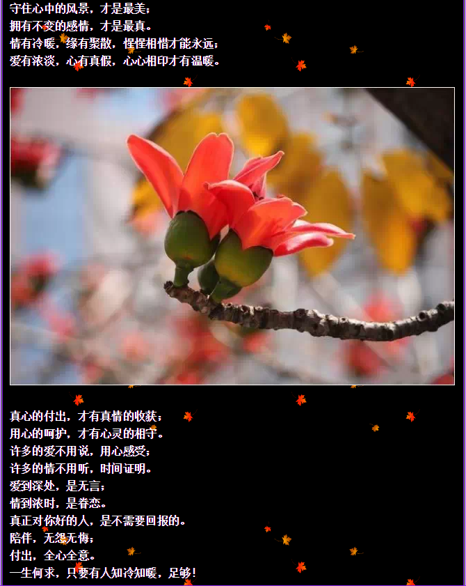 QQ圖片20150730092809.png QQ圖片20150730092809.png
