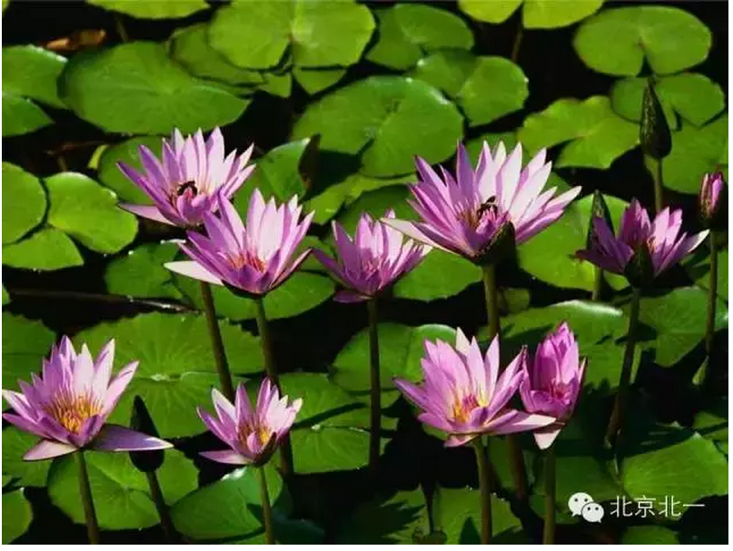 QQ圖片20150802161425.png QQ圖片20150802161425.png