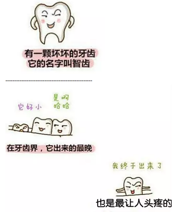 【口外科普】圖解為什么大部分智齒需要拔除？