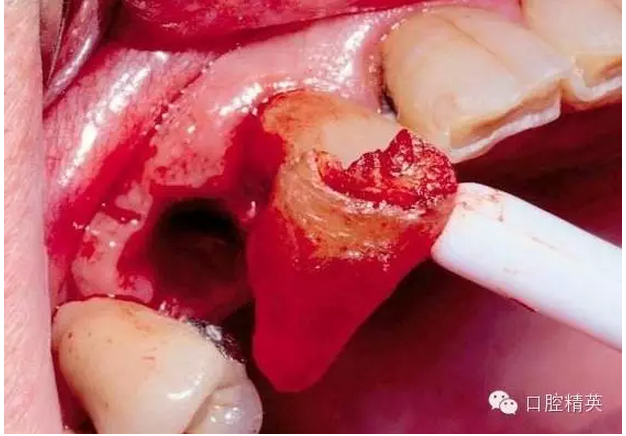 QQ圖片20150803111241.png QQ圖片20150803111241.png