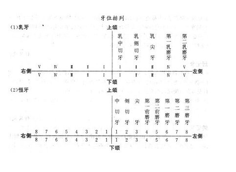 QQ圖片20150807110430.png QQ圖片20150807110430.png