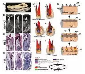 QQ圖片20150808105945.png QQ圖片20150808105945.png