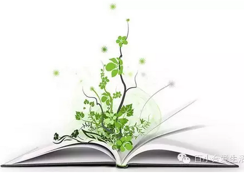 QQ圖片20150814094026.png QQ圖片20150814094026.png