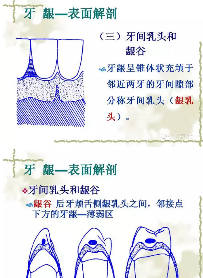 QQ圖片20150814101107.png QQ圖片20150814101107.png