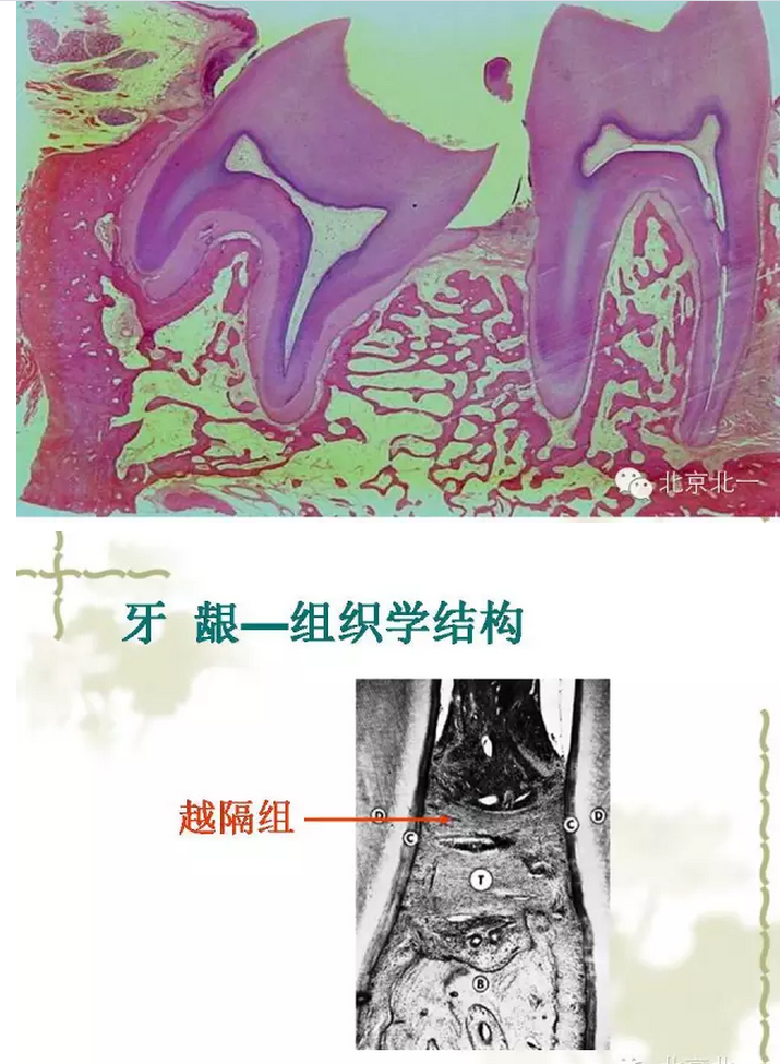 QQ圖片20150814101434.png QQ圖片20150814101434.png