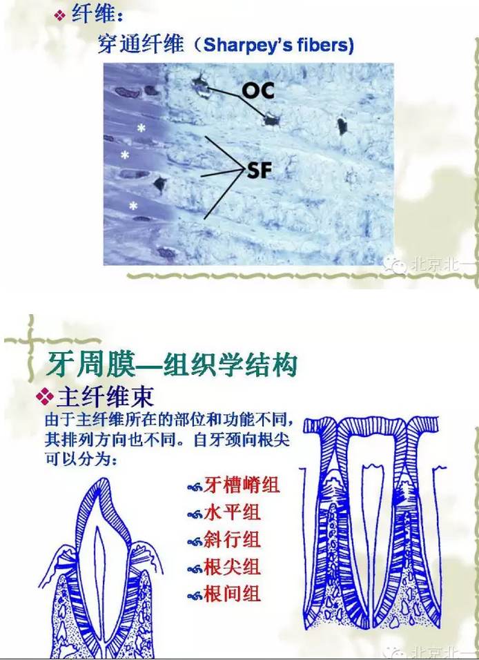 QQ圖片20150814101831.png QQ圖片20150814101831.png