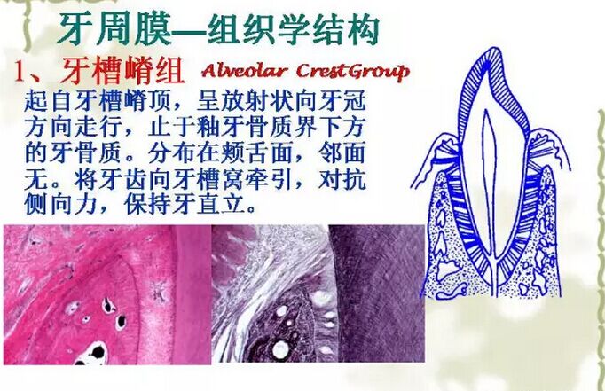 QQ圖片20150814101844.jpg QQ圖片20150814101844.jpg