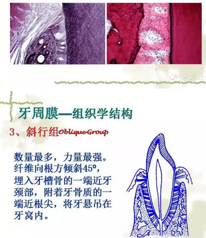 QQ圖片20150814101911.png QQ圖片20150814101911.png