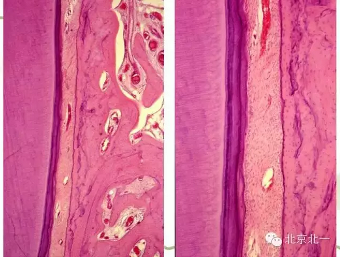 QQ圖片20150814101927.png QQ圖片20150814101927.png