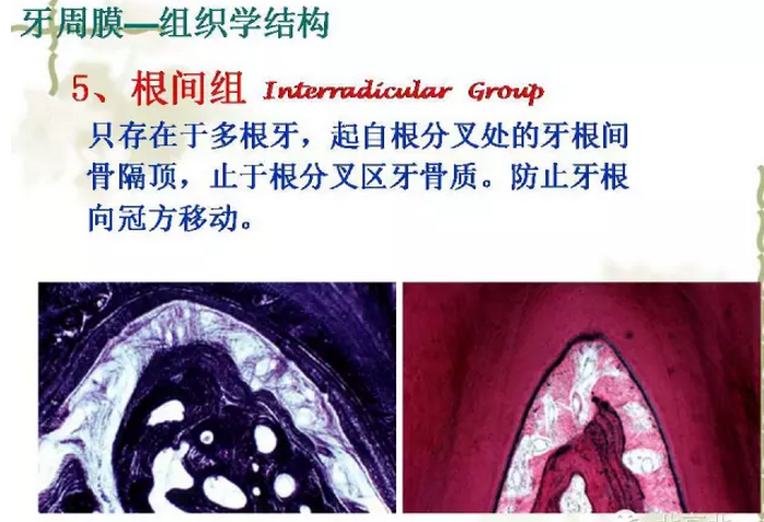 QQ圖片20150814102017.png QQ圖片20150814102017.png