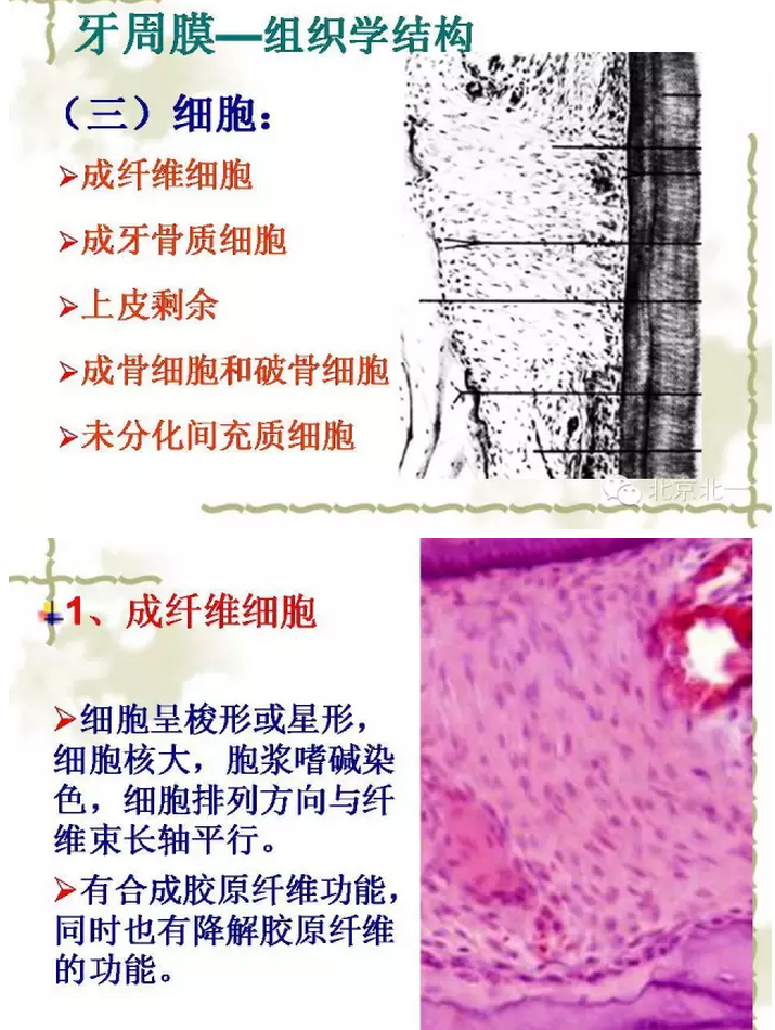 QQ圖片20150814102046.png QQ圖片20150814102046.png