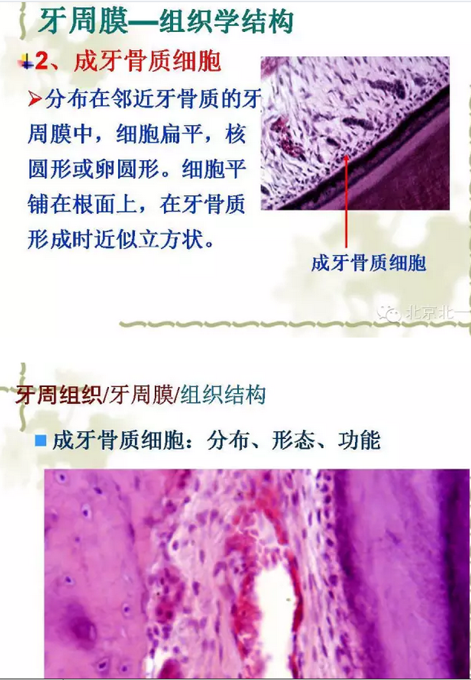 QQ圖片20150814102102.png QQ圖片20150814102102.png