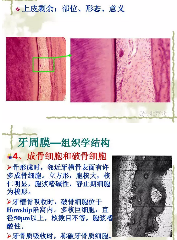 QQ圖片20150814102128.png QQ圖片20150814102128.png