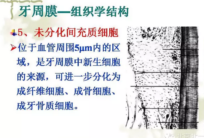 QQ圖片20150814102157.png QQ圖片20150814102157.png