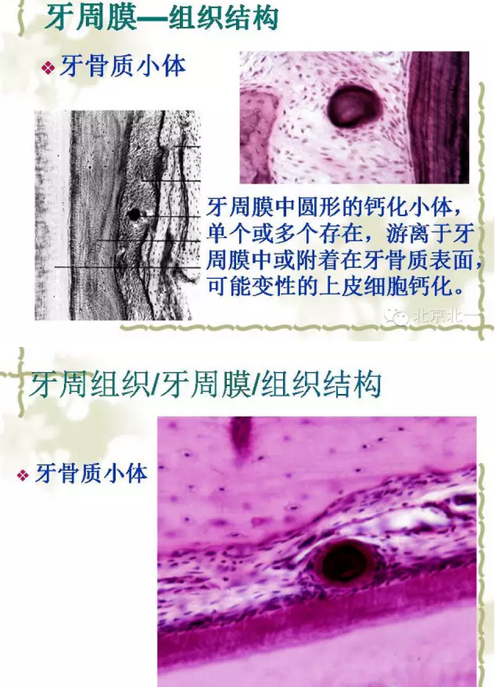 QQ圖片20150814102225.png QQ圖片20150814102225.png