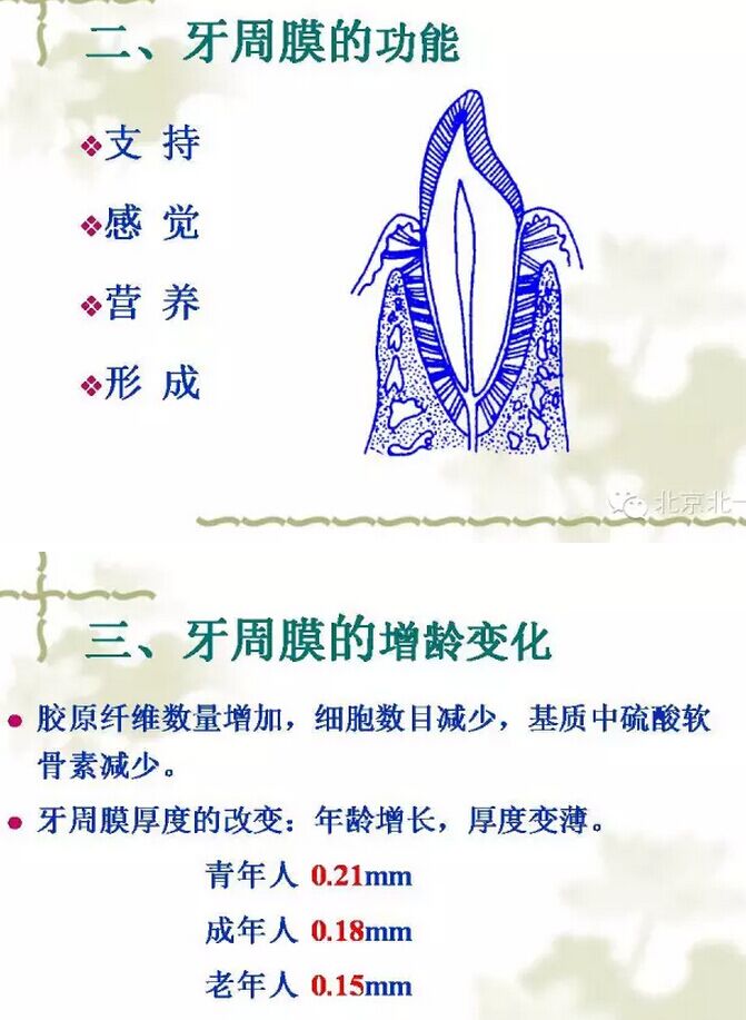 QQ圖片20150814102238.jpg QQ圖片20150814102238.jpg