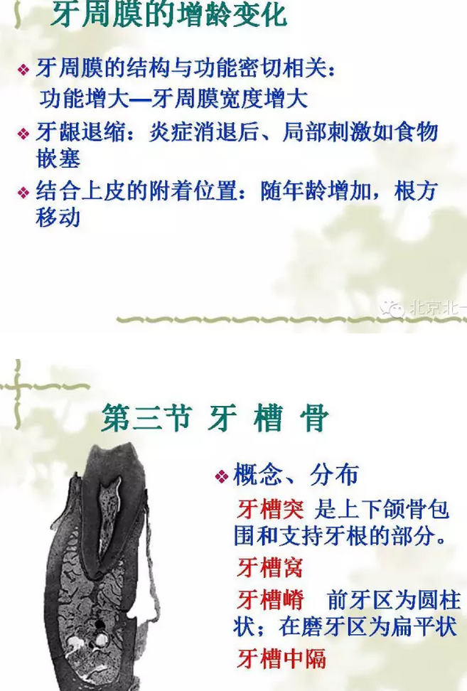 QQ圖片20150814102256.png QQ圖片20150814102256.png