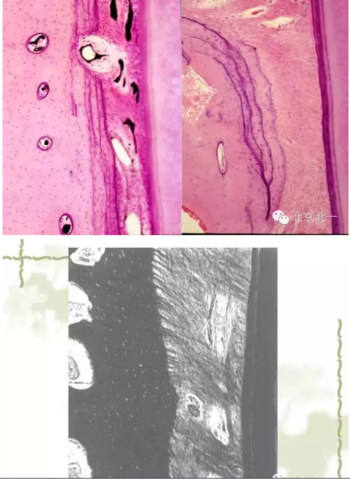 QQ圖片20150814102340.png QQ圖片20150814102340.png