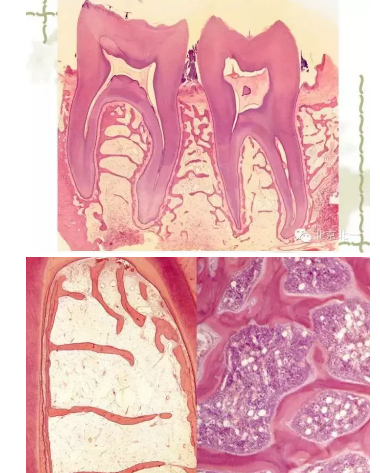 QQ圖片20150814102404.png QQ圖片20150814102404.png