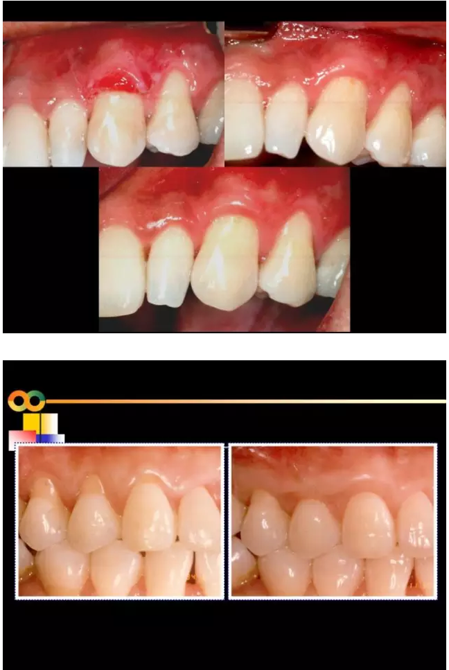 QQ圖片20150819095233.png QQ圖片20150819095233.png