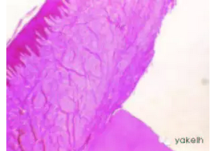 QQ圖片20150820101042.png QQ圖片20150820101042.png