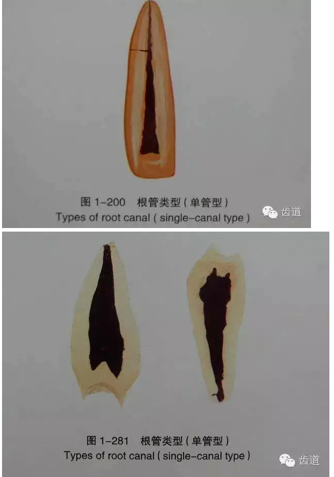 QQ圖片20150820144525.png QQ圖片20150820144525.png