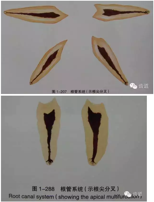 QQ圖片20150820144704.png QQ圖片20150820144704.png