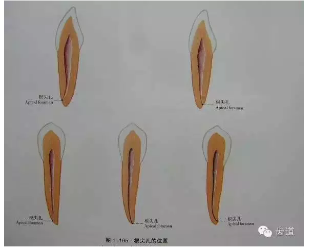 QQ圖片20150820144844.png QQ圖片20150820144844.png