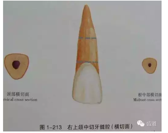 QQ圖片20150820144931.png QQ圖片20150820144931.png