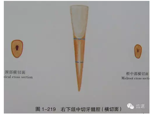 QQ圖片20150820145007.png QQ圖片20150820145007.png