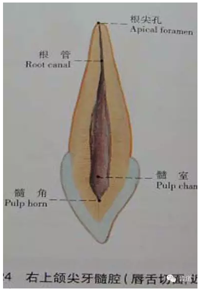 QQ圖片20150820145426.png QQ圖片20150820145426.png