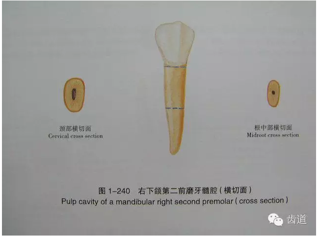 QQ圖片20150820145554.png QQ圖片20150820145554.png