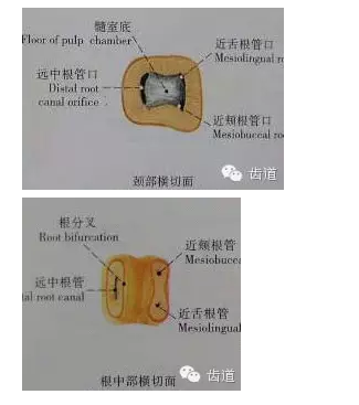 QQ圖片20150820145914.png QQ圖片20150820145914.png