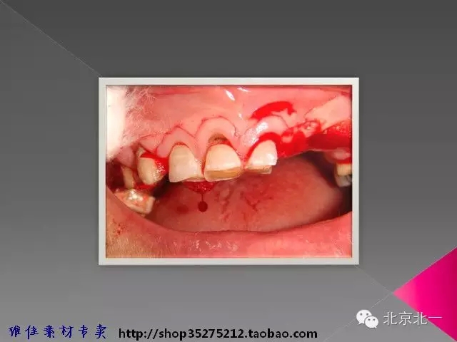 36.webp.jpg 36.webp.jpg