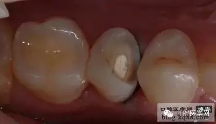 201.webp.jpg 201.webp.jpg