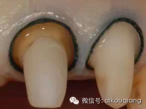 1402.webp.jpg 1402.webp.jpg