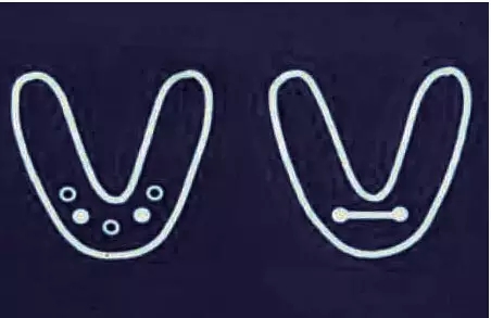 5001.webp.jpg 5001.webp.jpg