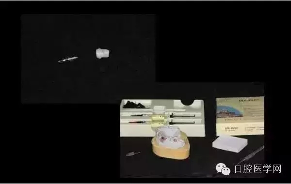 110.webp.jpg 110.webp.jpg